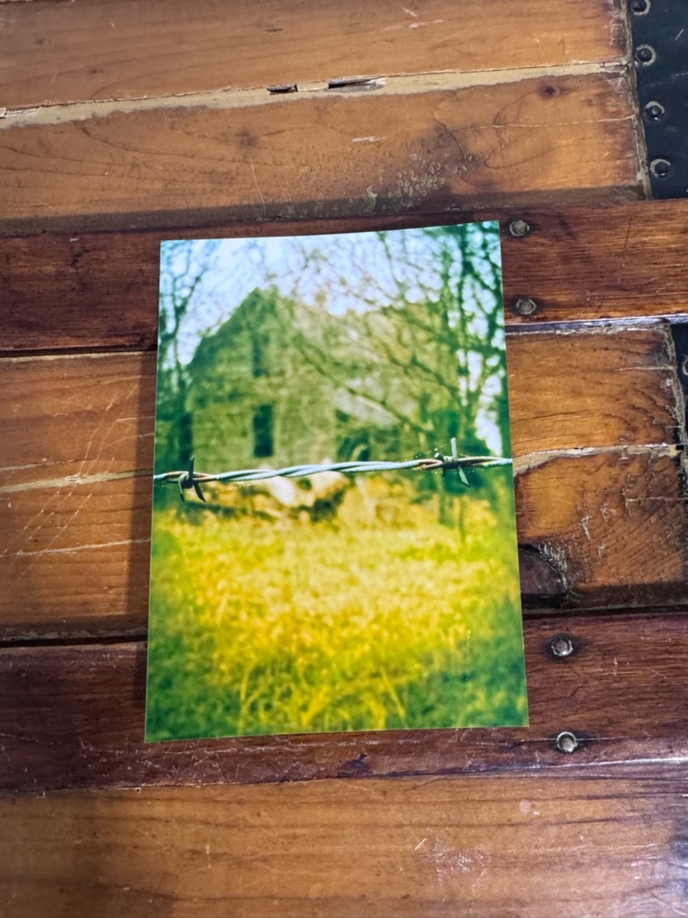 Barbed Wire Over Abandoned Farm Photo Print - Green & Yellow